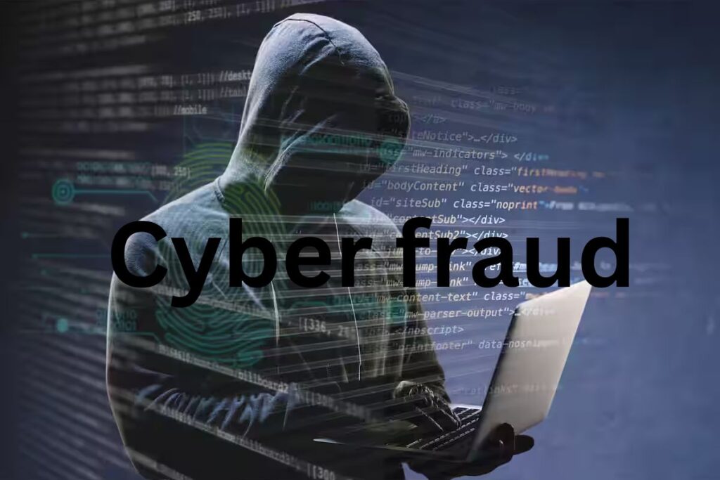 cyber fraud